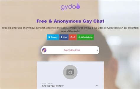 gay chat like omegle|Gydoo: Free anonymous gay chat 